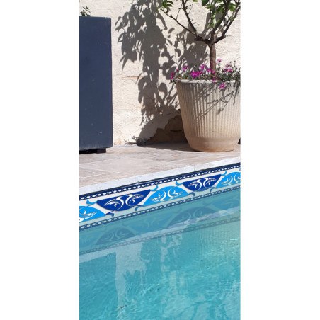 Adhesive Pool Border Dolphin
