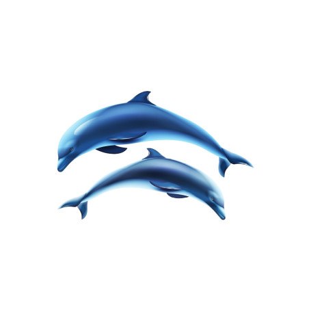 2 DELFINES  -  Decoración para piscina